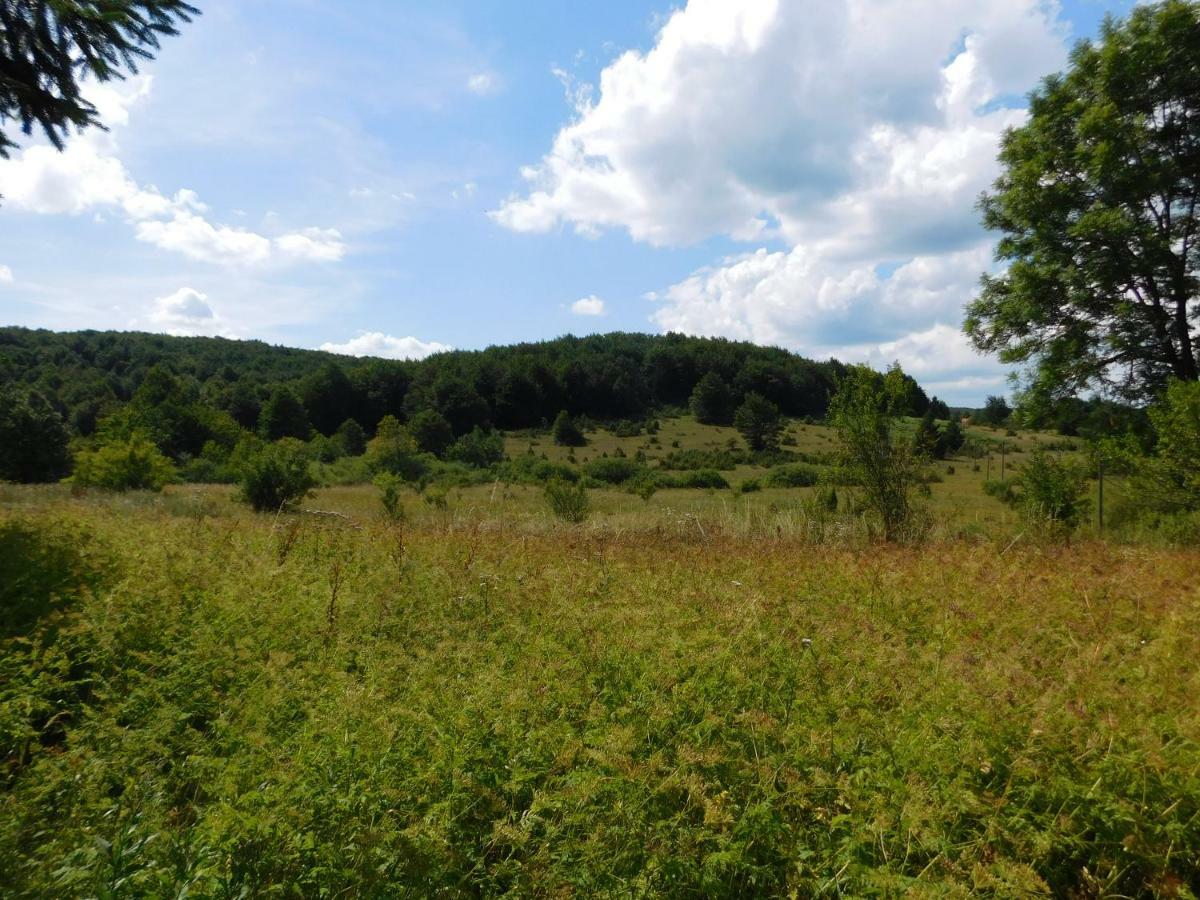 Vacation House Home, Plitvice Lakes National Park พลิตวิชกา เยเซรา ภายนอก รูปภาพ