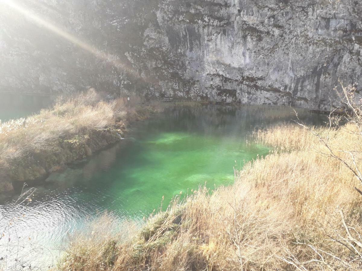 Vacation House Home, Plitvice Lakes National Park พลิตวิชกา เยเซรา ภายนอก รูปภาพ